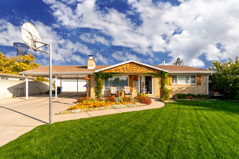 a front yard with colorful flowering plants